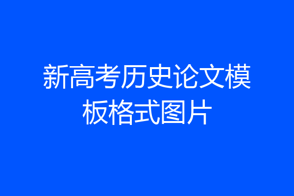 新高考历史论文模板格式图片