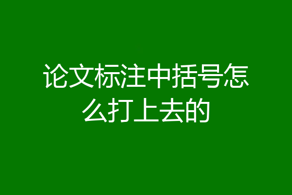 论文标注中括号怎么打上去的