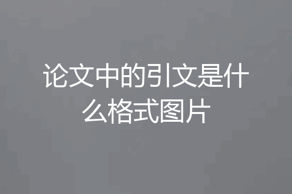 论文中的引文是什么格式图片
