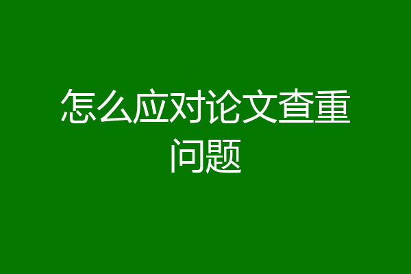 怎么应对论文查重问题