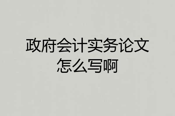政府会计实务论文怎么写啊