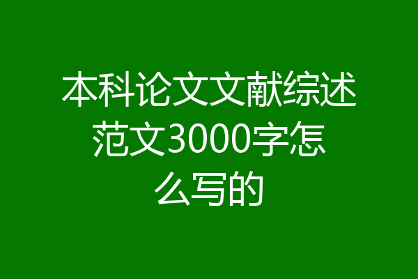 本科论文文献综述范文3000字怎么写的