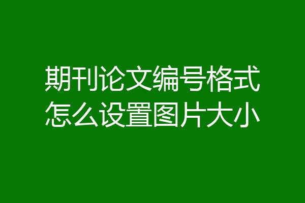 期刊论文编号格式怎么设置图片大小