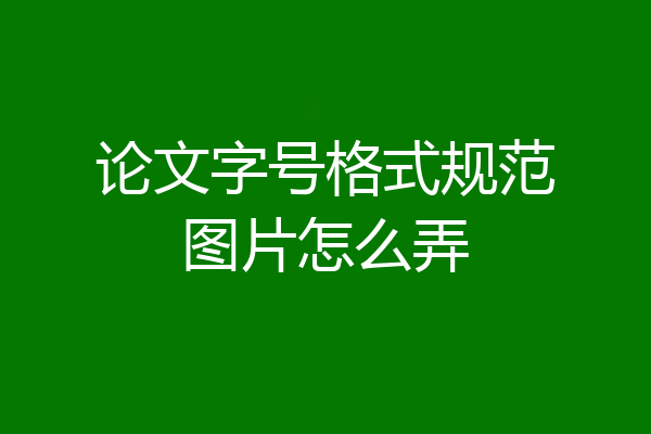 论文字号格式规范图片怎么弄