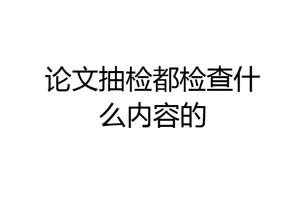 论文抽检都检查什么内容的