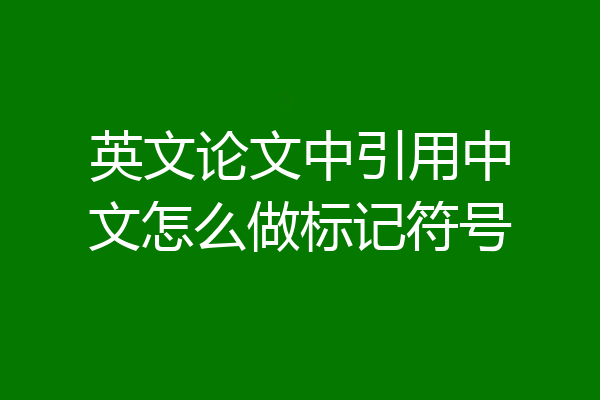 英文论文中引用中文怎么做标记符号