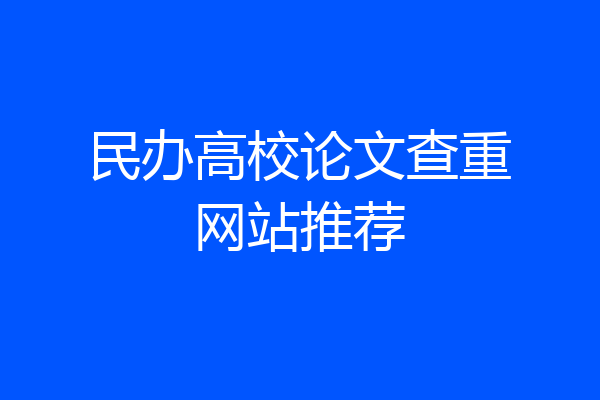 民办高校论文查重网站推荐