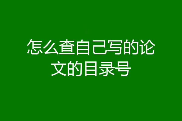 怎么查自己写的论文的目录号