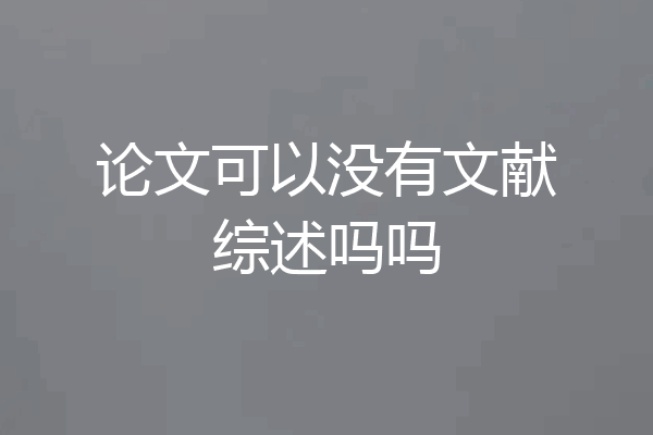 论文可以没有文献综述吗吗