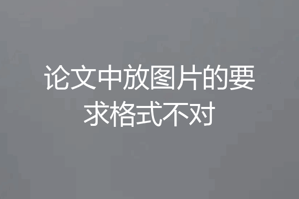 论文中放图片的要求格式不对