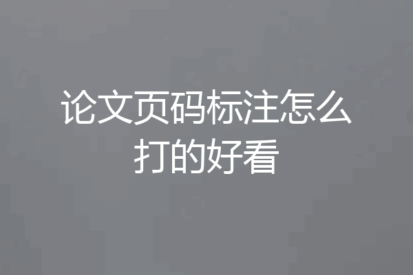 论文页码标注怎么打的好看