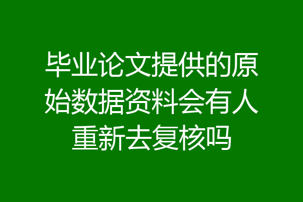 毕业论文提供的原始数据资料会有人重新去复核吗