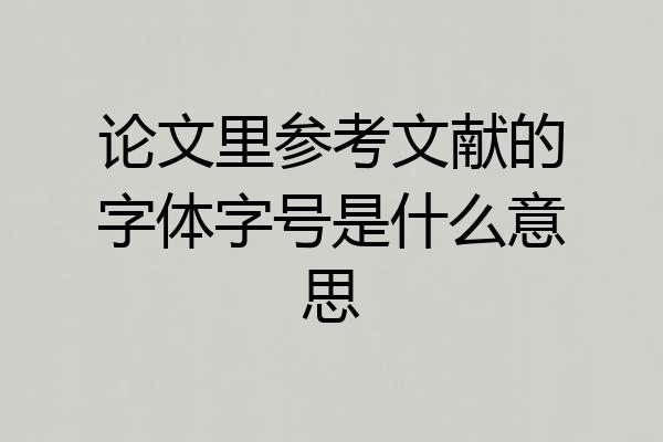 论文里参考文献的字体字号是什么意思
