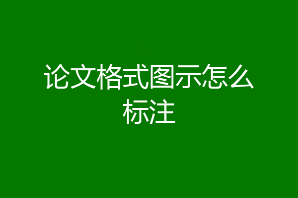论文格式图示怎么标注