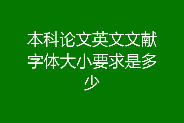 本科论文英文文献字体大小要求是多少