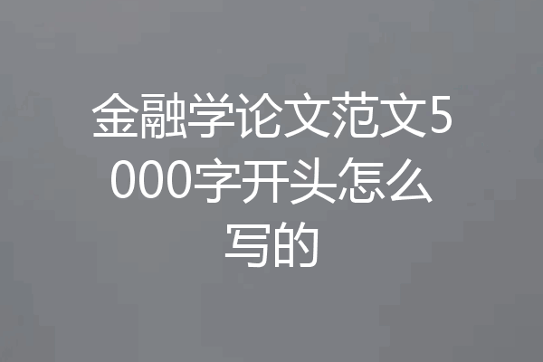 金融学论文范文5000字开头怎么写的