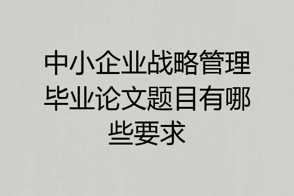中小企业战略管理毕业论文题目有哪些要求