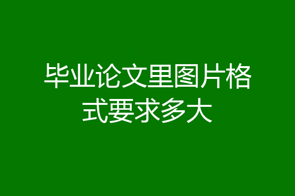 毕业论文里图片格式要求多大