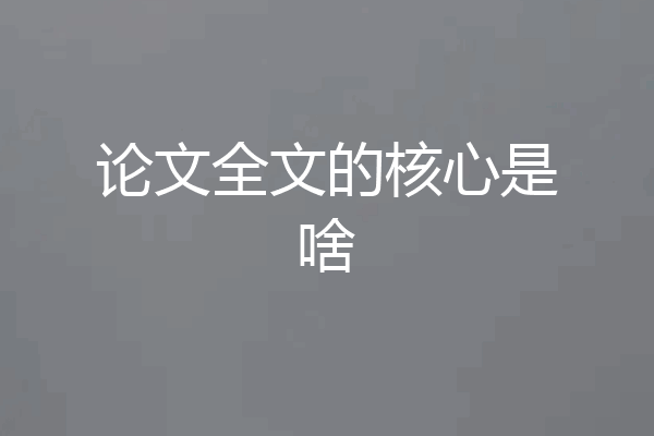 论文全文的核心是啥