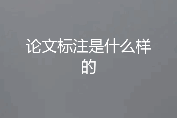论文标注是什么样的