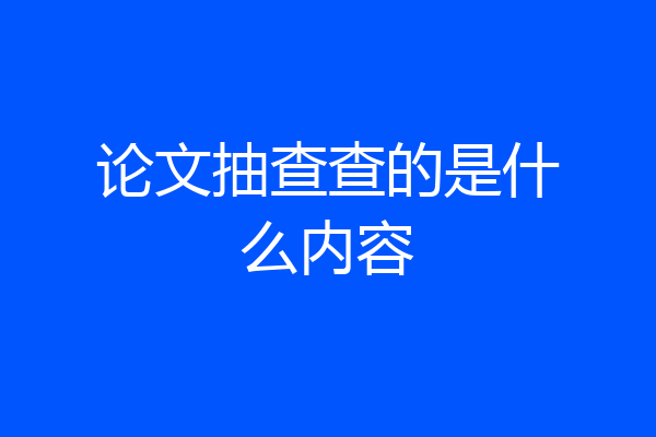 论文抽查查的是什么内容