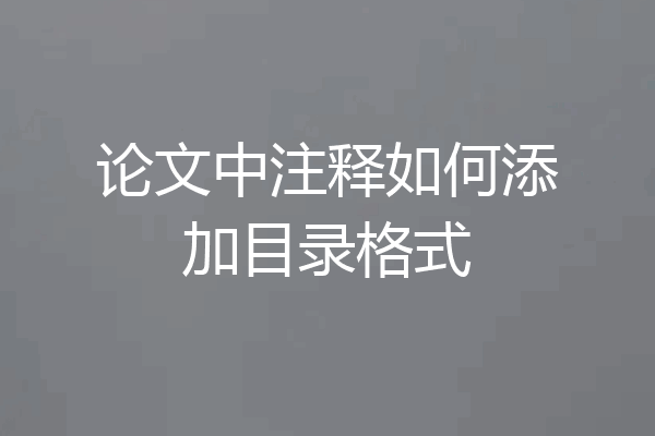 论文中注释如何添加目录格式