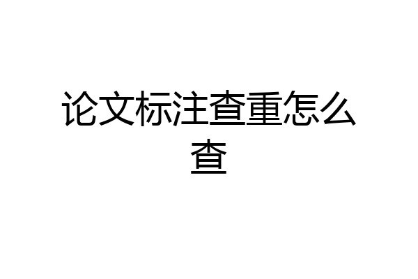 论文标注查重怎么查