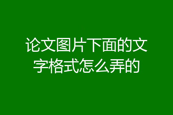 论文图片下面的文字格式怎么弄的
