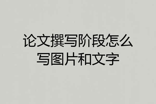 论文撰写阶段怎么写图片和文字