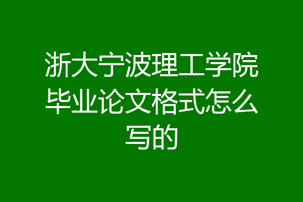 浙大宁波理工学院毕业论文格式怎么写的