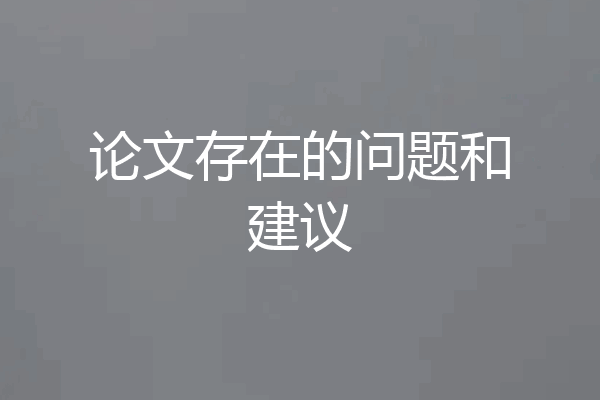 论文存在的问题和建议
