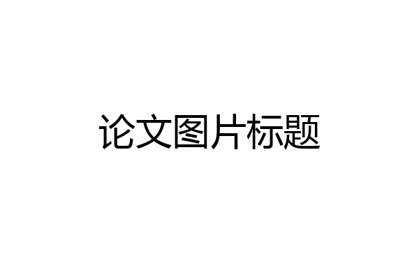 论文图片标题