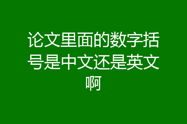 论文里面的数字括号是中文还是英文啊