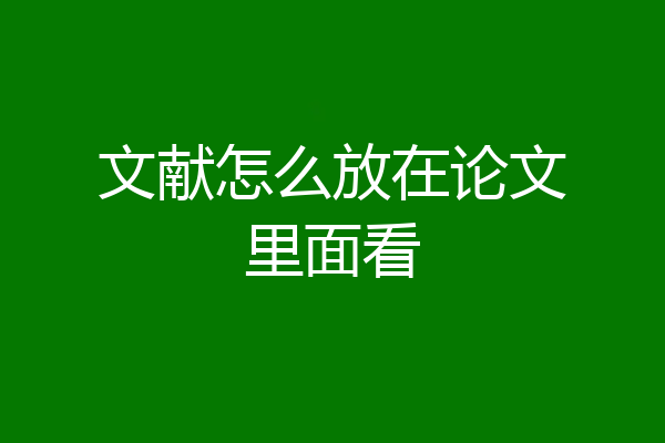 文献怎么放在论文里面看
