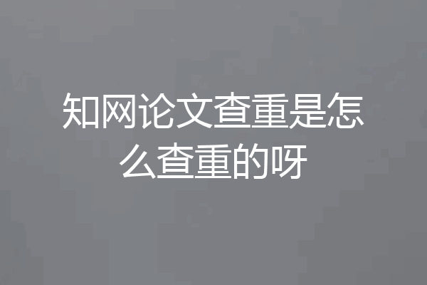 知网论文查重是怎么查重的呀