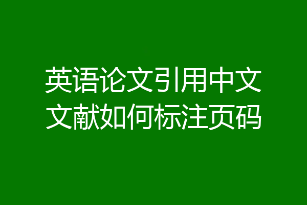 英语论文引用中文文献如何标注页码