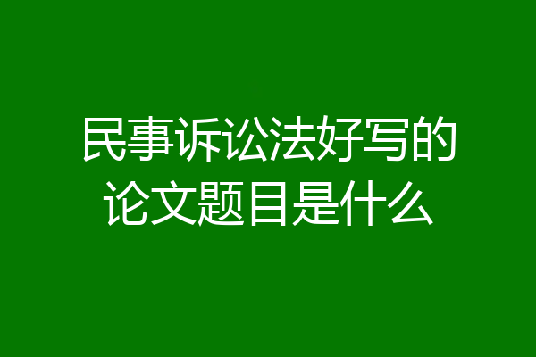 民事诉讼法好写的论文题目是什么
