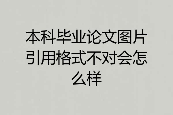 本科毕业论文图片引用格式不对会怎么样