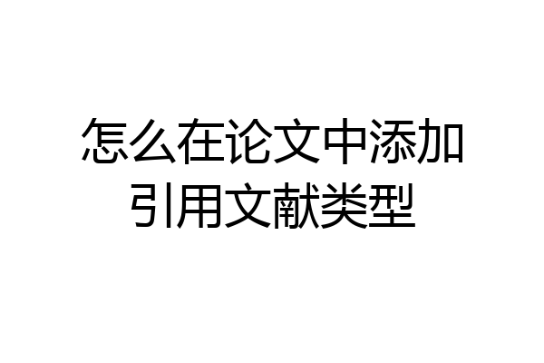 怎么在论文中添加引用文献类型