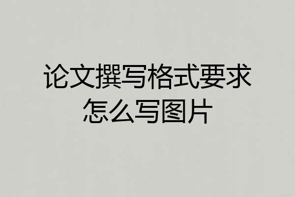 论文撰写格式要求怎么写图片