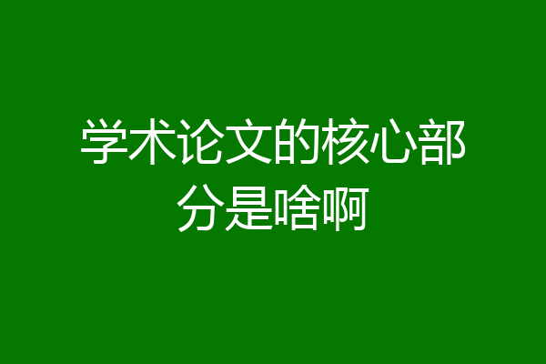 学术论文的核心部分是啥啊