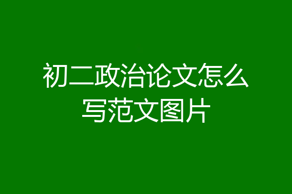 初二政治论文怎么写范文图片