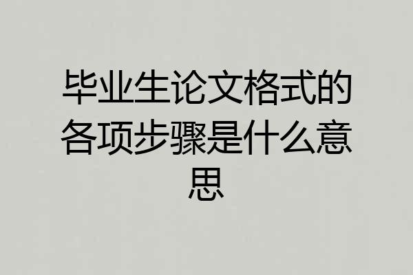 毕业生论文格式的各项步骤是什么意思
