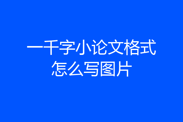 一千字小论文格式怎么写图片