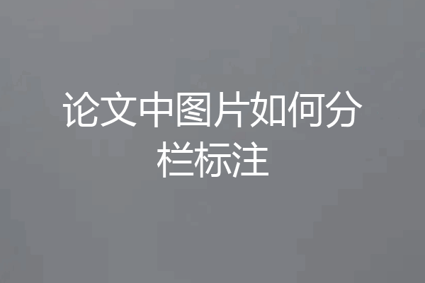 论文中图片如何分栏标注