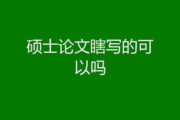 硕士论文瞎写的可以吗