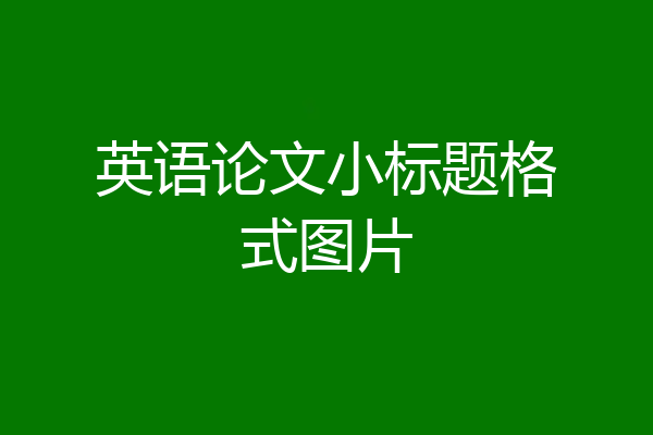 英语论文小标题格式图片