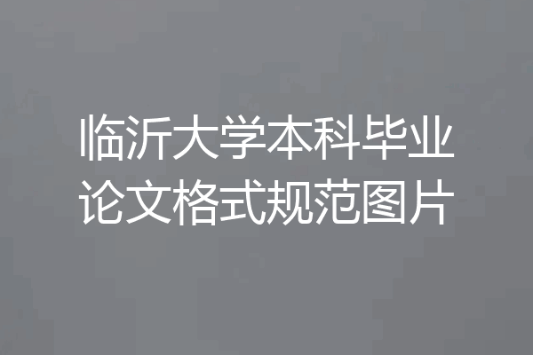 临沂大学本科毕业论文格式规范图片