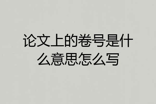 论文上的卷号是什么意思怎么写