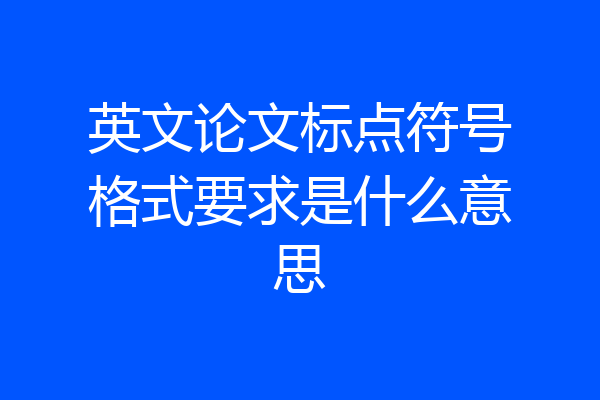英文论文标点符号格式要求是什么意思